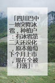 四川巴中一地突降冰雹，种植户：有冰雹第二天还没化，原本葡萄下个月上市，现在全被打落