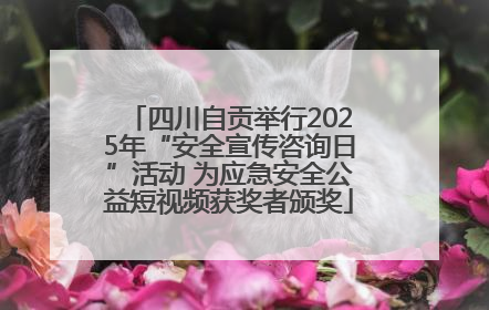 四川自贡举行2025年“安全宣传咨询日”活动 为应急安全公益短视频获奖者颁奖