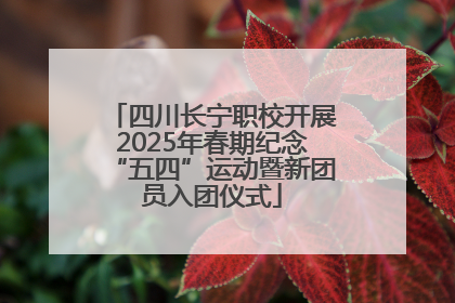 四川长宁职校开展2025年春期纪念“五四”运动暨新团员入团仪式