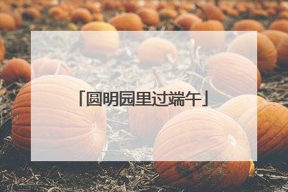 圆明园里过端午