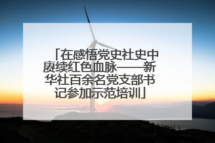 在感悟党史社史中赓续红色血脉——新华社百余名党支部书记参加示范培训