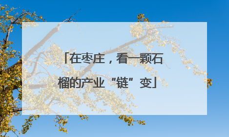 在枣庄，看一颗石榴的产业“链”变