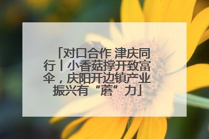 对口合作 津庆同行丨小香菇撑开致富伞，庆阳开边镇产业振兴有“蘑”力