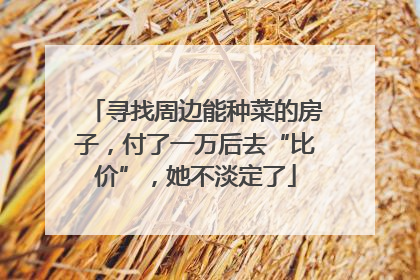 寻找周边能种菜的房子，付了一万后去“比价”，她不淡定了