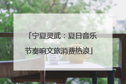 宁夏灵武：夏日音乐节奏响文旅消费热浪