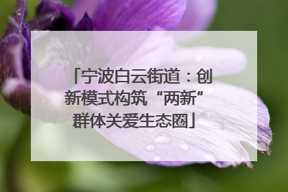 宁波白云街道：创新模式构筑“两新”群体关爱生态圈