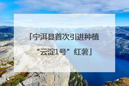 宁洱县首次引进种植“云淀1号”红薯
