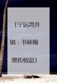 宁远湾井镇：书林翰墨传情谊