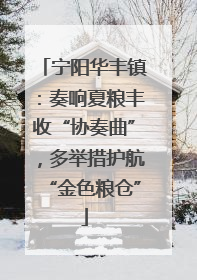 宁阳华丰镇：奏响夏粮丰收“协奏曲”，多举措护航“金色粮仓”