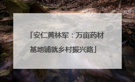 安仁黄林军：万亩药材基地铺就乡村振兴路