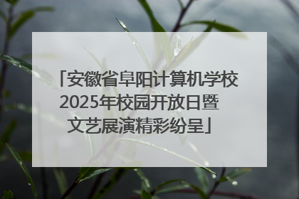 安徽省阜阳计算机学校2025年校园开放日暨文艺展演精彩纷呈