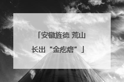安徽旌德 荒山长出“金疙瘩”