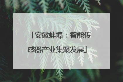 安徽蚌埠：智能传感器产业集聚发展