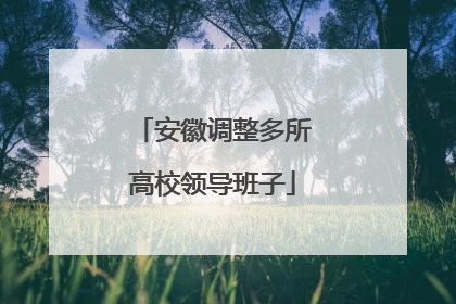 安徽调整多所高校领导班子