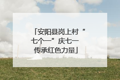 安阳县岗上村“七个一”庆七一 传承红色力量