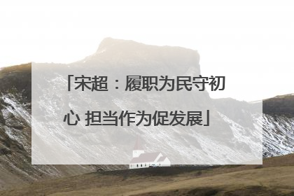 宋超：履职为民守初心 担当作为促发展