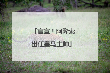 官宣！阿隆索出任皇马主帅