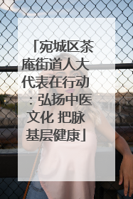 宛城区茶庵街道人大代表在行动：弘扬中医文化 把脉基层健康