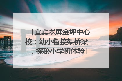 宜宾翠屏金坪中心校：幼小衔接架桥梁，探秘小学初体验