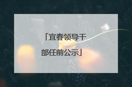 宜春领导干部任前公示