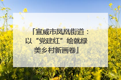 宣威市凤凰街道：以“党建红”绘就绿美乡村新画卷