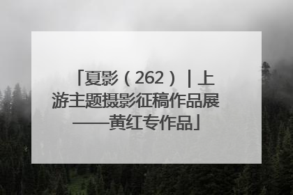夏影（262）｜上游主题摄影征稿作品展——黄红专作品