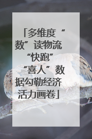 多维度“数”读物流“快跑” “喜人”数据勾勒经济活力画卷