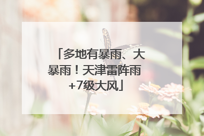 多地有暴雨、大暴雨！天津雷阵雨+7级大风