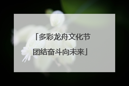多彩龙舟文化节 团结奋斗向未来