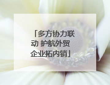 多方协力联动 护航外贸企业拓内销