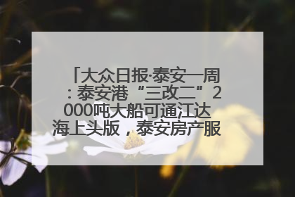 大众日报·泰安一周：泰安港“三改二”2000吨大船可通江达海上头版，泰安房产服务改革经验全省推广