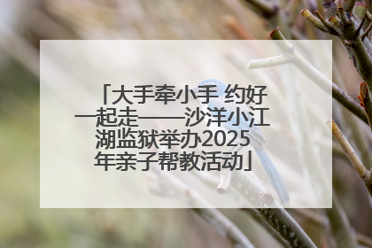 大手牵小手 约好一起走——沙洋小江湖监狱举办2025年亲子帮教活动