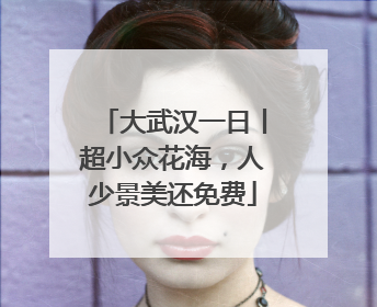 大武汉一日丨超小众花海，人少景美还免费