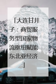 大连甘井子：商贸服务型国家物流枢纽赋能东北亚经济