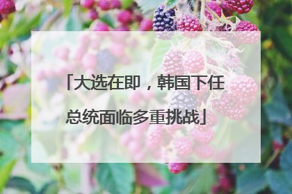 大选在即，韩国下任总统面临多重挑战