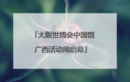 大阪世博会中国馆广西活动周启幕