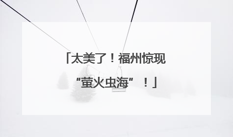 太美了！福州惊现“萤火虫海”！