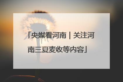 央媒看河南｜关注河南三夏麦收等内容