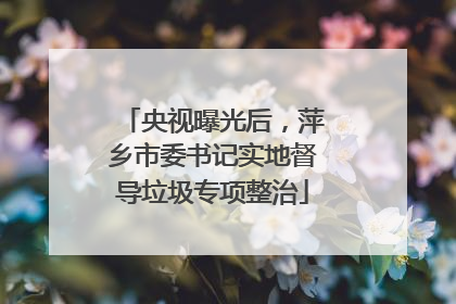 央视曝光后，萍乡市委书记实地督导垃圾专项整治