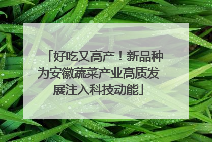 好吃又高产！新品种为安徽蔬菜产业高质发展注入科技动能