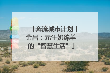 奔流城市计划丨金昌：元生奶绵羊的“智慧生活”