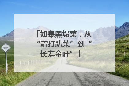 如皋黑塌菜：从“霜打趴菜”到“长寿金叶”