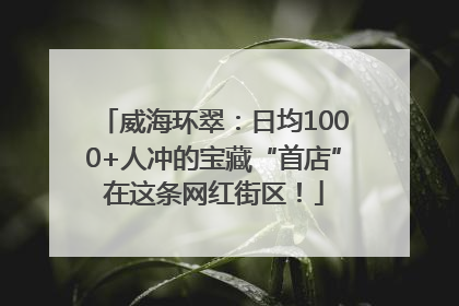 威海环翠：日均1000+人冲的宝藏“首店”在这条网红街区！