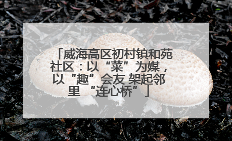 威海高区初村镇和苑社区：以“菜”为媒，以“趣”会友 架起邻里 “连心桥”