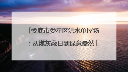 娄底市娄星区洪水单屋场：从煤灰蔽日到绿意盎然