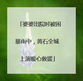 婆婆出院时被困暴雨中，黄石全城上演暖心救援