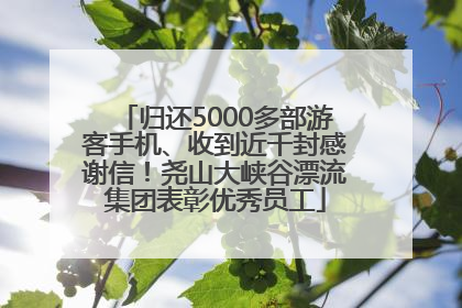 归还5000多部游客手机、收到近千封感谢信！尧山大峡谷漂流集团表彰优秀员工