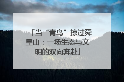 当“青鸟”掠过舜皇山：一场生态与文明的双向奔赴