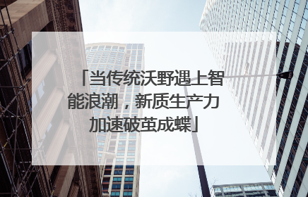 当传统沃野遇上智能浪潮，新质生产力加速破茧成蝶