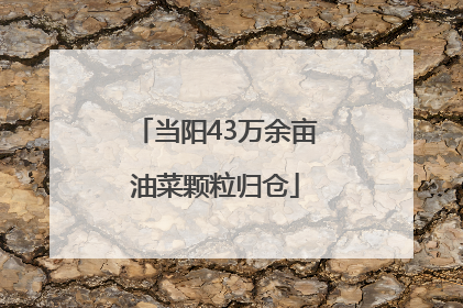 当阳43万余亩油菜颗粒归仓